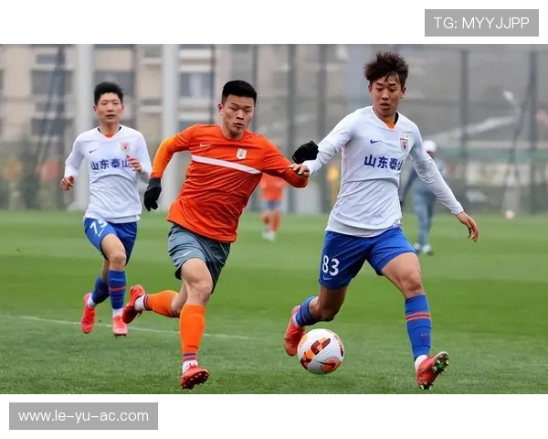 泰山队成绩为何波动？深度解析山东足球俱乐部现状与球迷心路