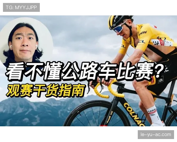 观赛指南：全方位体验赛事激情与乐趣的方法解析