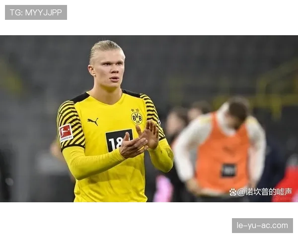 哈兰德剑指2025赛季：冲击个人最佳表现，助力球队双线争冠