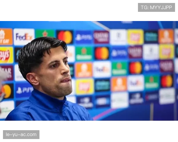 坎塞洛比赛稳定性解析